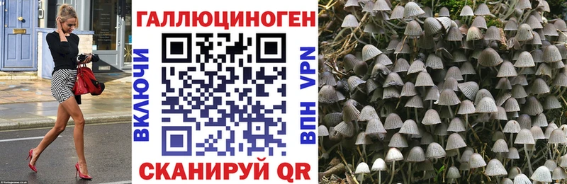 Галлюциногенные грибы ЛСД  Купить  Южноуральск 